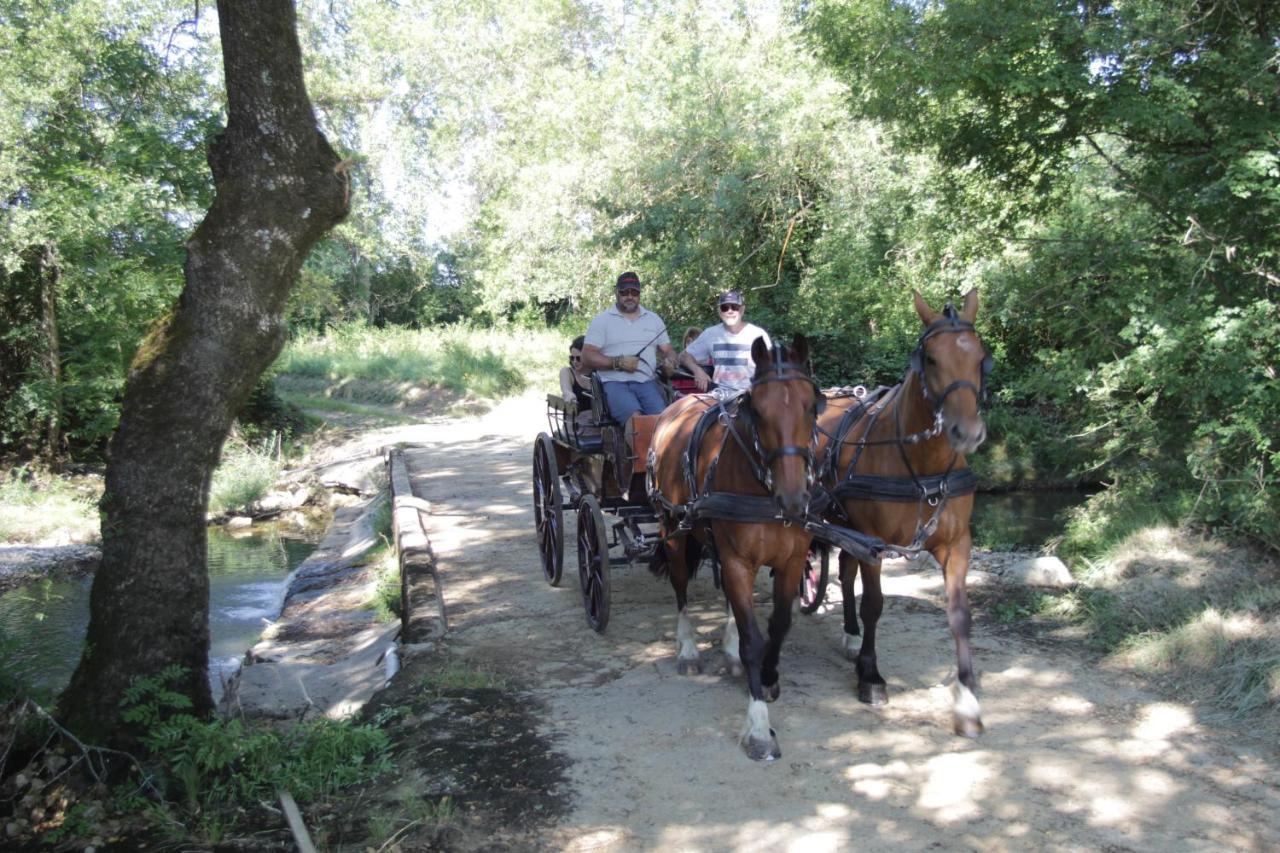 Saint-Sauveur-de-Cruzière Le Mas De La Coste المظهر الخارجي الصورة